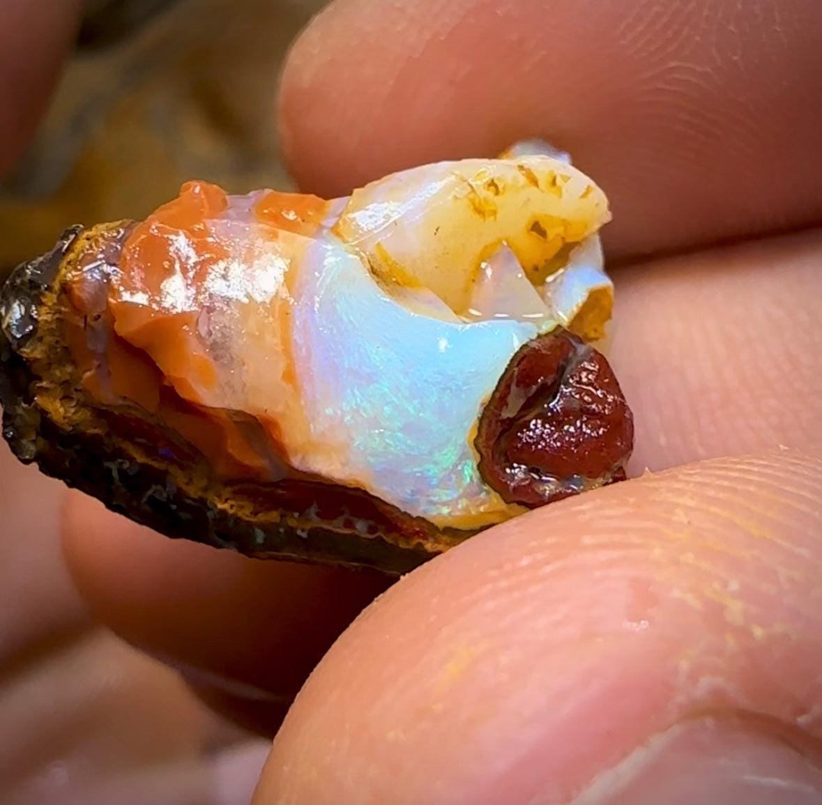 The 74.5cts - 3x Yowah Nut Crystal Centre Rough Pieces. Australian Opal - Opal Whisperers