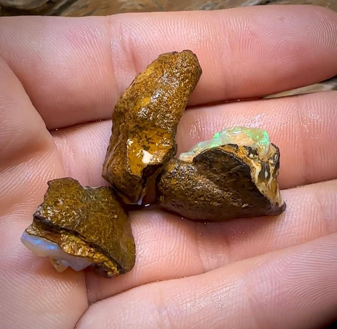 The 74.5cts - 3x Yowah Nut Crystal Centre Rough Pieces. Australian Opal - Opal Whisperers