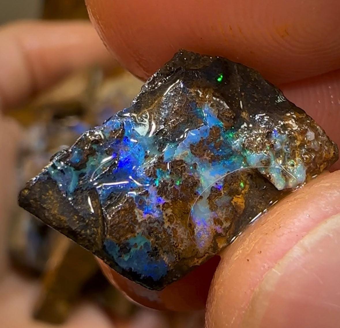 290g - Queensland Boulder Opal Rough Rub Preforms - Opal Whisperers