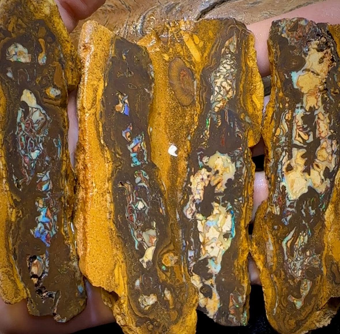 The 338.8cts - 6x Yowah Nut Rough Slabs. Australian Opal - Opal Whisperers
