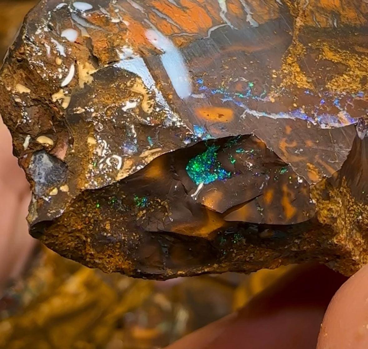 169g - Queensland Boulder Opal Rough Slices - Opal Whisperers