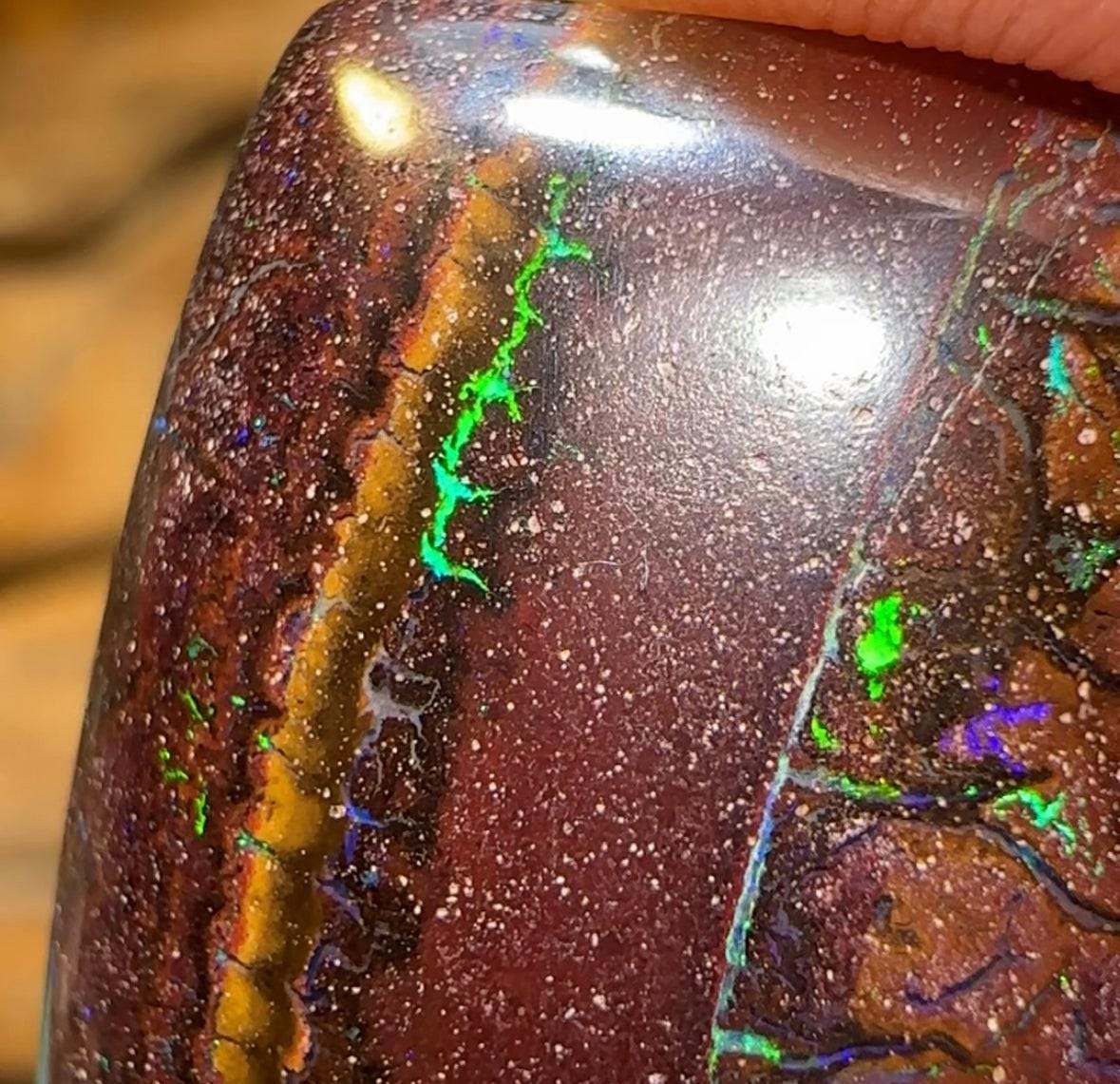 33.6cts - Queensland Boulder Opal - Opal Whisperers