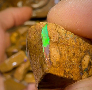 125g - 50 x Queensland Boulder Pipe Opal Rough - Opal Whisperers