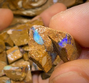 125g - 50 x Queensland Boulder Pipe Opal Rough - Opal Whisperers