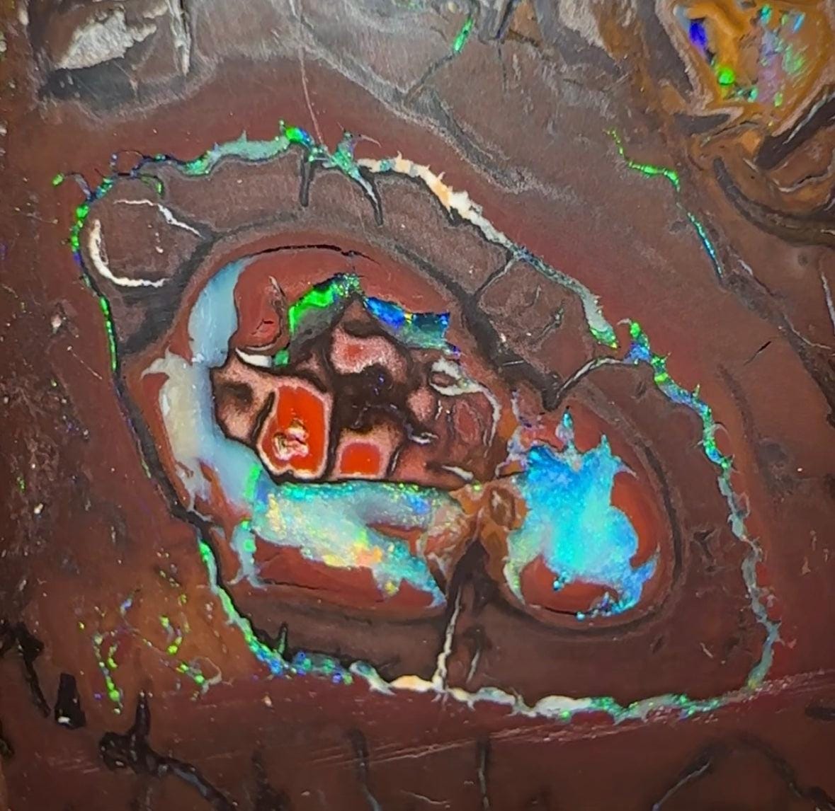 36.5cts - Queensland Boulder Opal Double Sided - Opal Whisperers