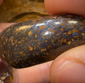 234cts - 5x Queensland Boulder Opal Rough Rub Preforms. Knockout Tribal and Kernel mix - Opal Whisperers