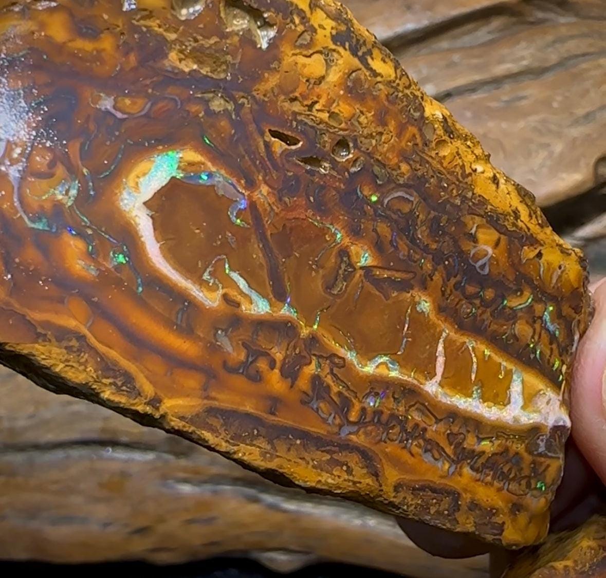 147g - Yowah Nut Opal Rough Slab Pair - Opal Whisperers