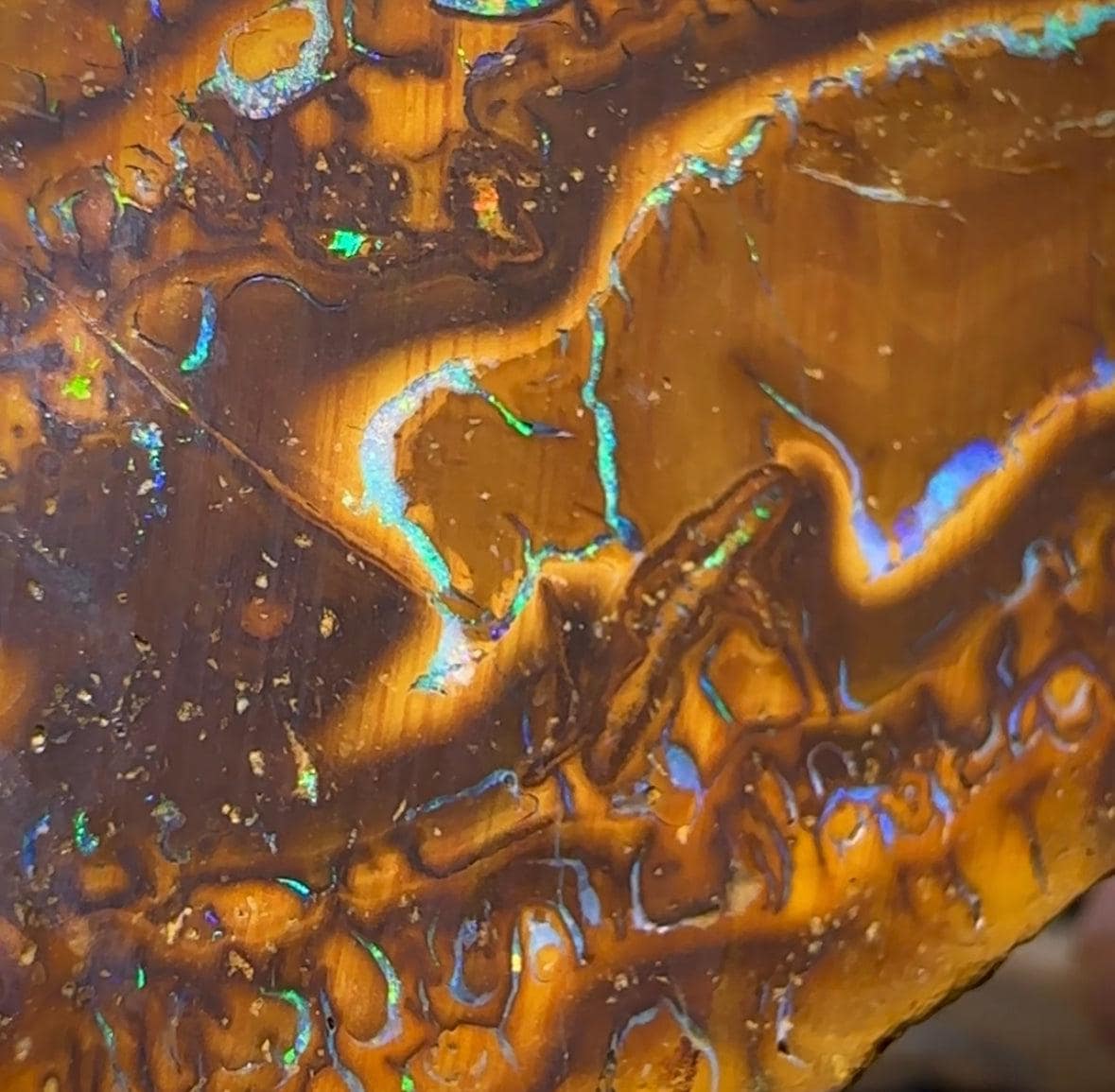 147g - Yowah Nut Opal Rough Slab Pair - Opal Whisperers