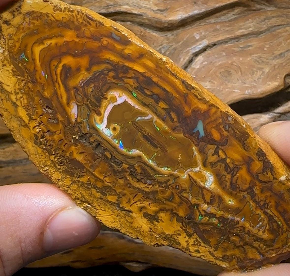 147g - Yowah Nut Opal Rough Slab Pair - Opal Whisperers