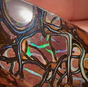 211.1cts - Large Tribal Pattern Koroit Nut Opal Specimen - Opal Whisperers