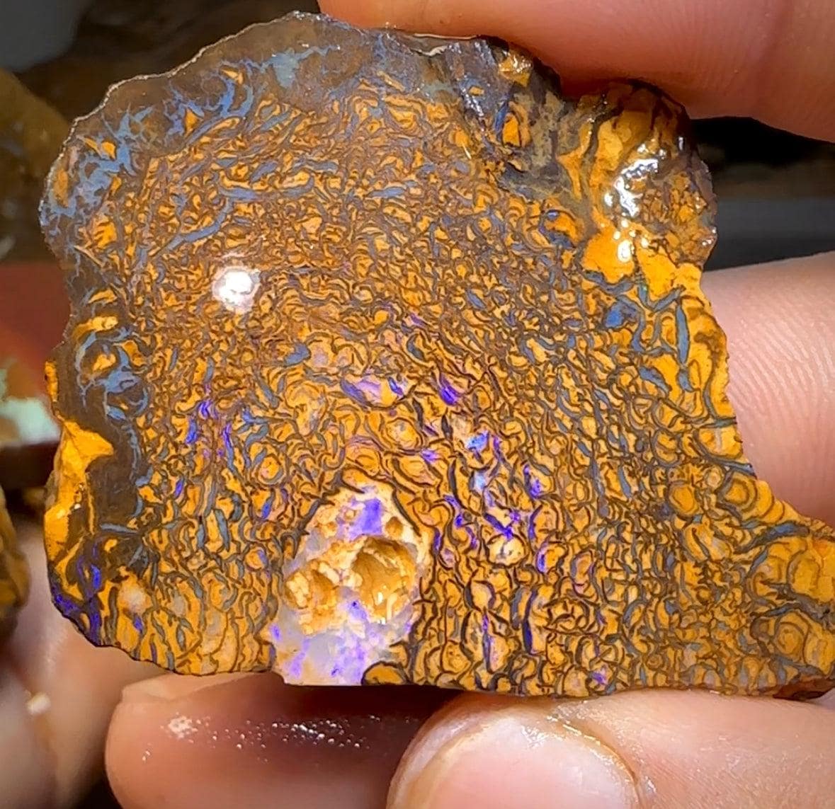 230g - Bulk Boulder Opal Rough Rub Preforms - Opal Whisperers