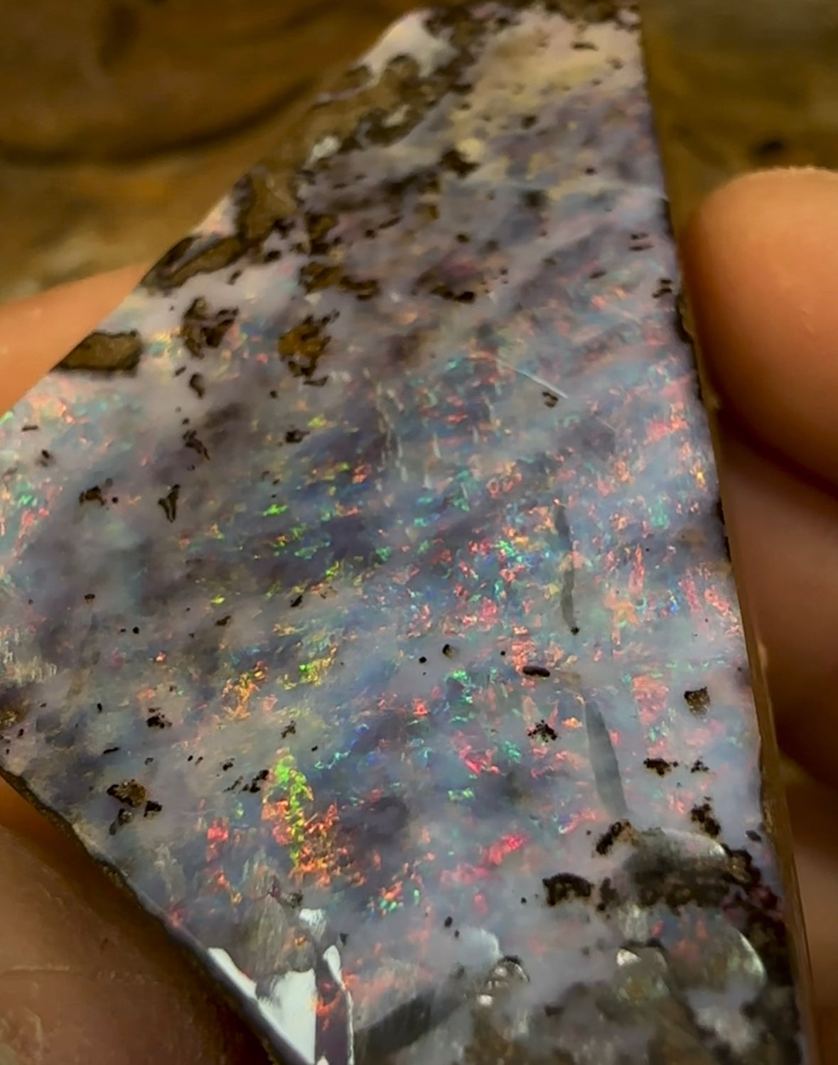 284.6cts - QLD Boulder Opal Specimen - Opalwhisperers