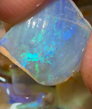 125.4cts - WATCH VIDEO!! High quality Fossil Shell Rough Opal Crystal - Opalwhisperers