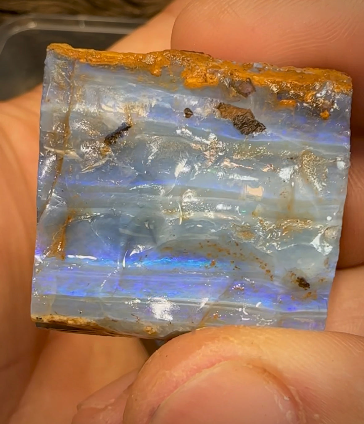 240cts - 3 x boulder rough pro opal cutting material - Opalwhisperers