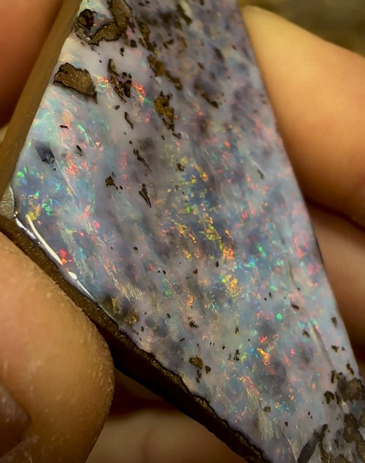 284.6cts - QLD Boulder Opal Specimen - Opalwhisperers