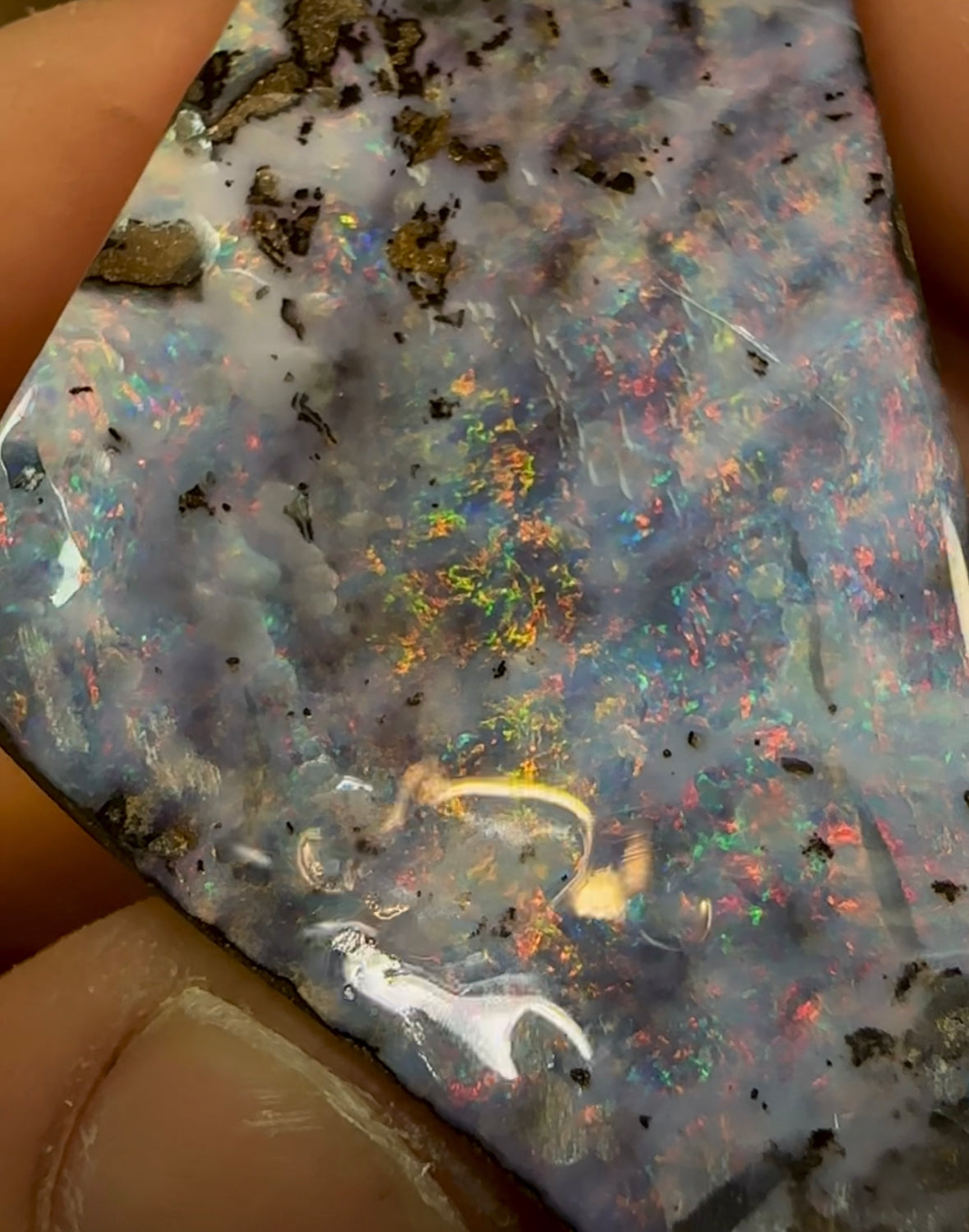284.6cts - QLD Boulder Opal Specimen - Opalwhisperers