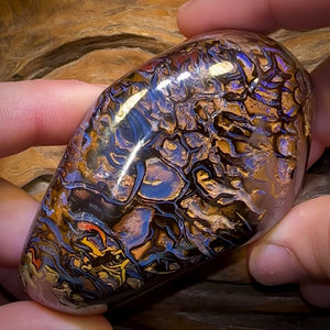 1157cts - Polished Tribal Yowah Nut Opal Specimen. Heritage Collection