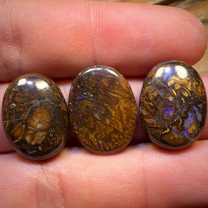 50.8cts - 3x Australian Tribal Boulder Opal’s. Wholesale Parcel