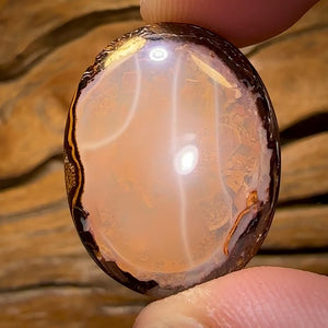 25.6cts - Yowah Nut Crystal Centre Opal. Australian Boulder Opal