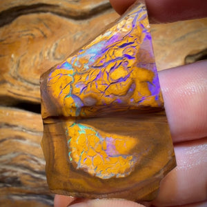 TGIF 237.7cts - Tribal Yowah Nut Opal Rough Preform Rub