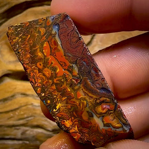 173,1 ct – Rohstück eines Boulderopals aus Koroit, Queensland (Stammesgebiet)