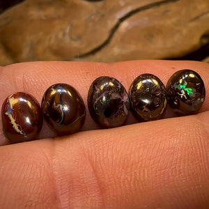 12.6cts - 5x Finished Queensland Boulder Opals. Wholesale Parcel CALIBRATED