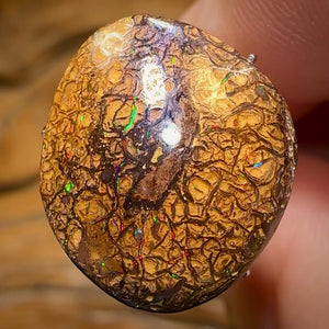 12.3cts - Tan Tribal Yowah Nut Opal. Multicolours!