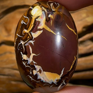 63.7cts - Tribal Queensland Boulder Opal Half Price Bargain