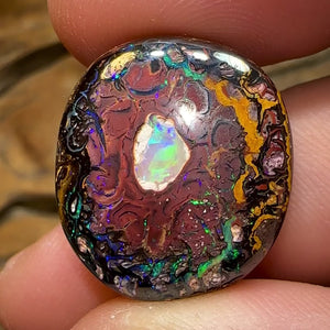 33.3cts - Tribal Kernel Koroit Nut Queensland Boulder Opal