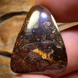 Bargain Card! 23.2cts - Top Tribal Queensland Boulder Opal from Yowah