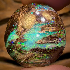 31.4cts - Top Queensland Boulder Wood Fossil Opal. Featured on “Outback Opal Hunters”! Celebrity Stone
