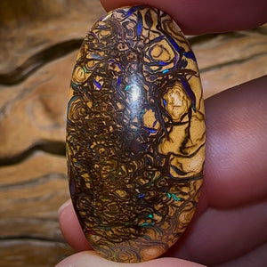 69,4 carats - Opale Boulder australienne. Tribu Yowah