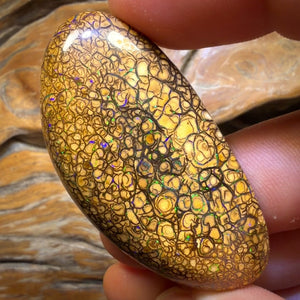 (AO) 107.6cts - Large Tan Tribal Queensland Boulder Opal from Yowah