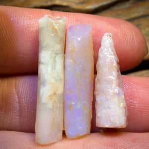 24.2cts - 3x Opalised Belemnite Geological Specimens from South Australia