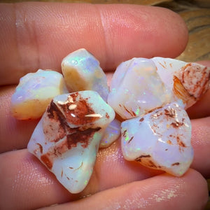 (5-15 $ de la livre) 71.3 cts - 7x Parcelle d'opale brute d'Australie du Sud
