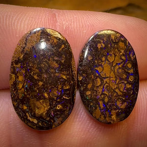19.6cts - Tribal Queensland Boulder Opal Pair