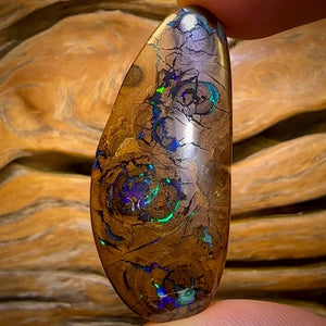 66.1cts - Queensland Boulder Opal from Yowah