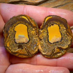 173cts - RARE Yowah Nut Partial Crystal Centre Rough Specimen Pair