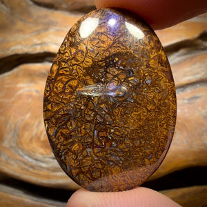 Wild Card! 44.6cts - Tribal Yowah Nut Opal. Australian Opal
