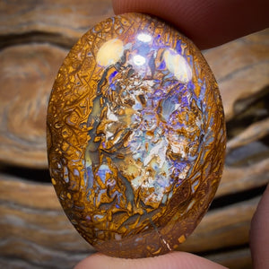 43.7cts - Tribal Australian Boulder Opal from Yowah