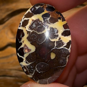 39.3cts - Queensland Boulder Opal Half Price Tribal BARGAIN