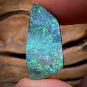 15.4cts - BANGER GEM Queensland Boulder Seam Opal