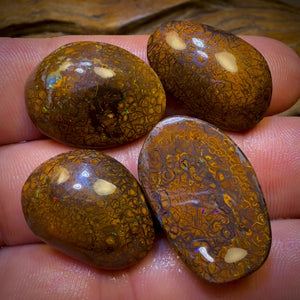 94.5cts- 4x Tribal Queensland Boulder Opal Rubs