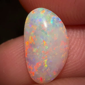 0.95cts - South Australian Crystal Opal. Fossilised Pippy Shell