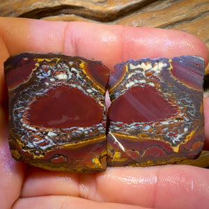 Roadshow Wild Card!284.8cts - Yowah Nut Tribal Opal Rough Specimen Pair