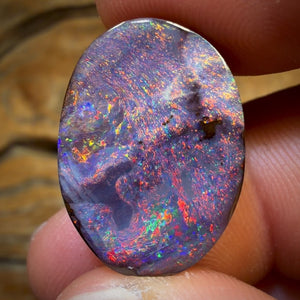 26.1cts -  “Big Red” GEM Queensland Boulder Opal from Koroit. Red Multicolours!!