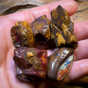 TGIF 482.9cts - 5x Yowah Nut Opal Rough Parcel. Australian Boulder Opal