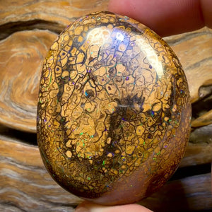 Wild Card! 289.4cts - Huge Tan Intricate Tribal Queensland Boulder Opal from Yowah