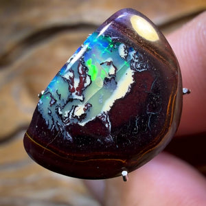 TGIF 8.8cts - Yowah Nut Partial Crystal Centre Opal. Australian Opal