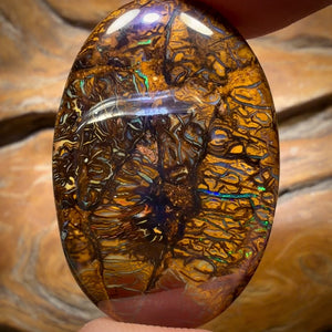 47.2cts - Tribal Yowah Nut Opal. Australian Opal